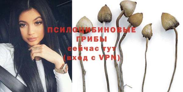 гидропоника Алзамай