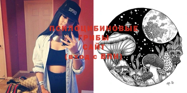 ешки Алексеевка