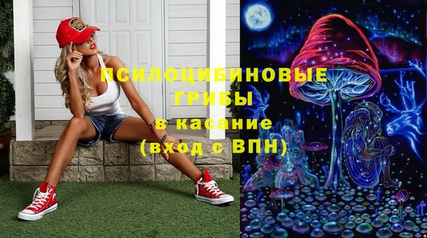 гидропоника Алзамай
