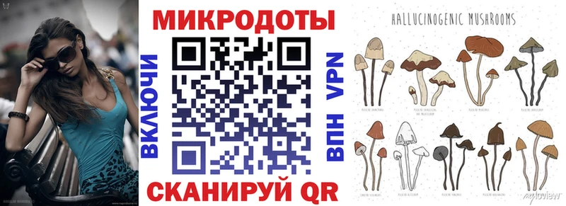 купить наркотик Игра Галлюциногенные грибы Psilocybine cubensis